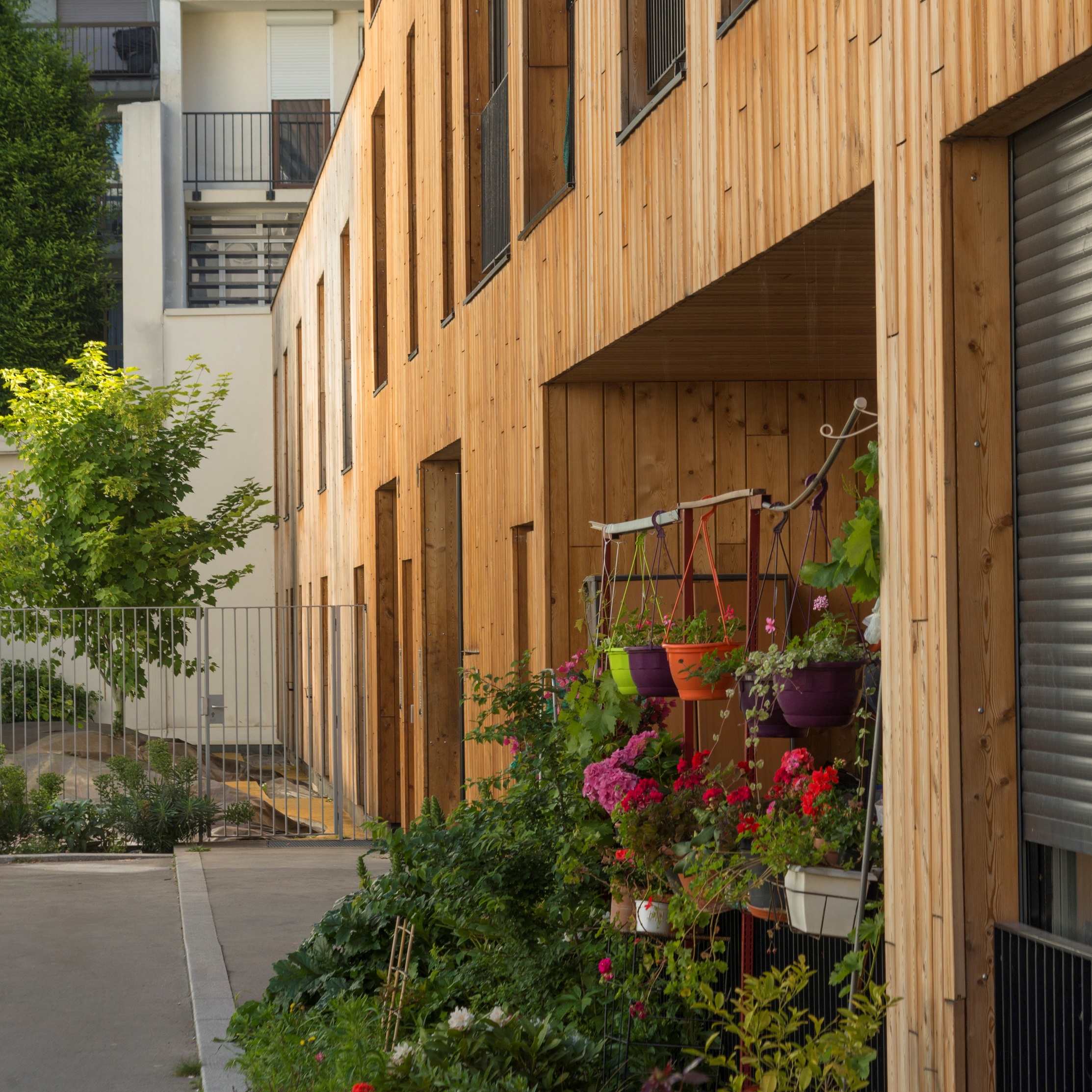 Terrasse végétalisée au rez-de-chaussée du bâtiment en bois qui accueillent 24 logement sociaux rue Lourmel, Paris 15.