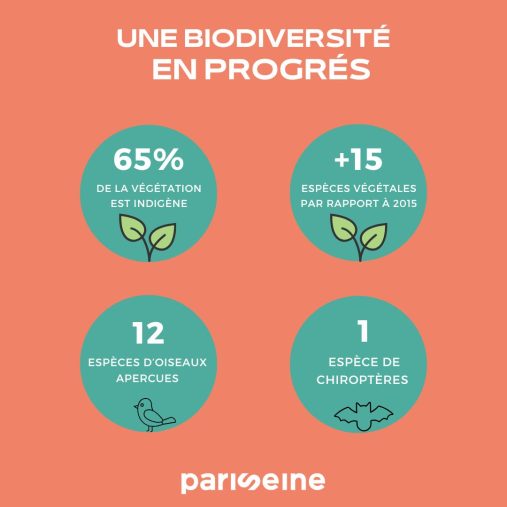 Visuel qui redonne les chiffres évoqués dans l'article